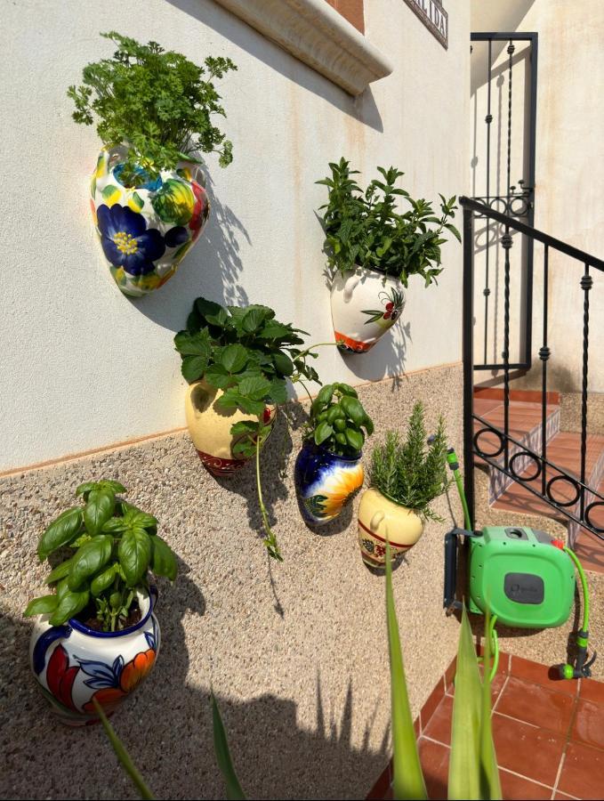 021 Casa Calida - Orihuela Costa Lägenhet Punta Prima  Exteriör bild